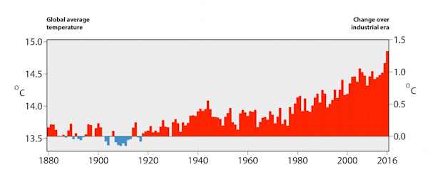 Den globala medeltemperaturen har ökat 1,3 grader mellan 1880 och 2016. Källa: Copernicus Climate Change Service.