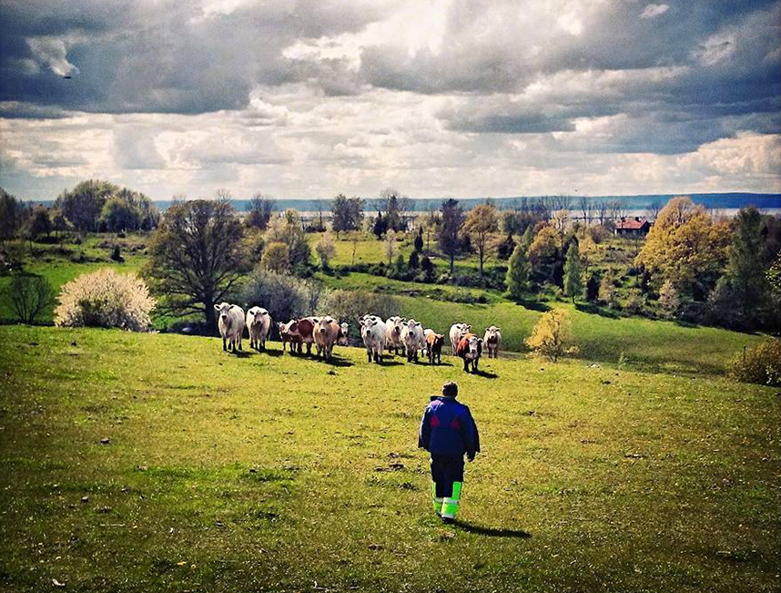Gruvan i Norra Kärr skulle kunna påverka flera omkringliggande Natura 2000-områden. Foto: Mats Hellmark