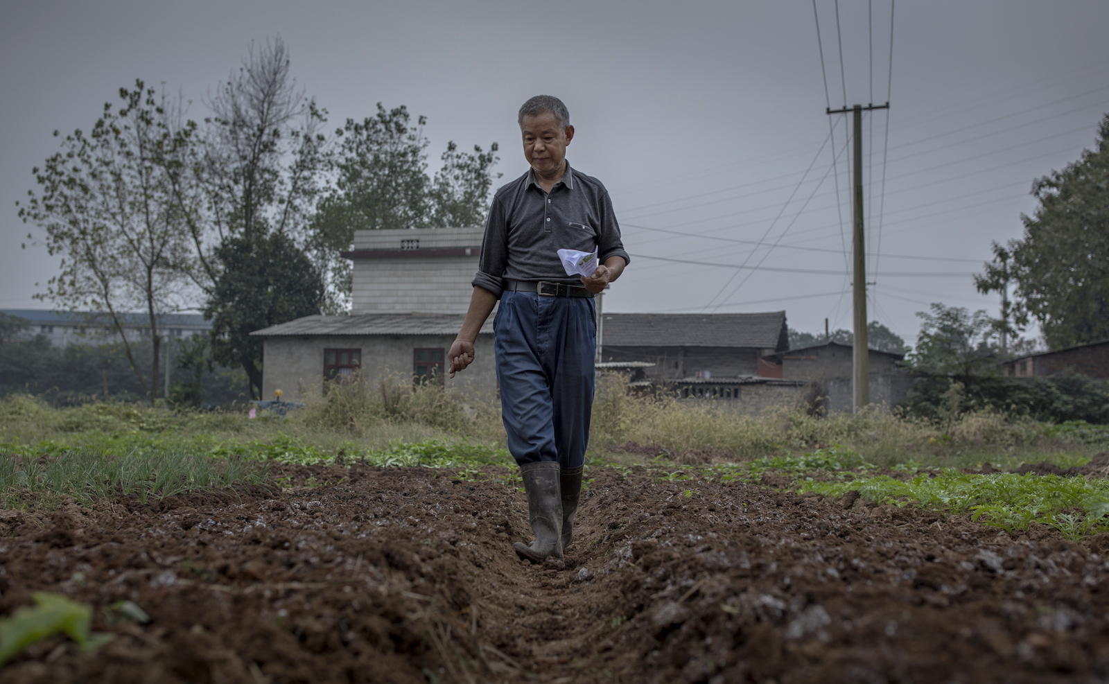 Ai sprider ut kalk på fälten för att motverka försurningen som utsläppen orsakar. 
