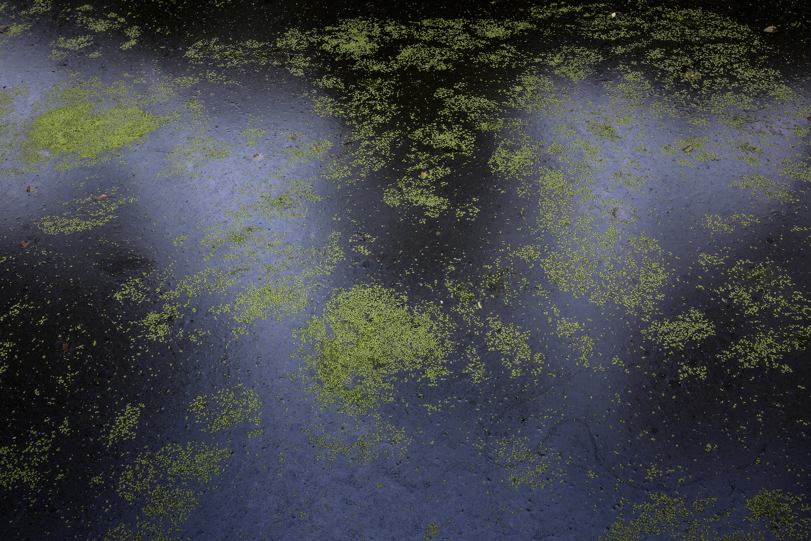 Vattnet i områdets brunnar går inte att dricka och i dammarna går det inte längre att odla fisk. 