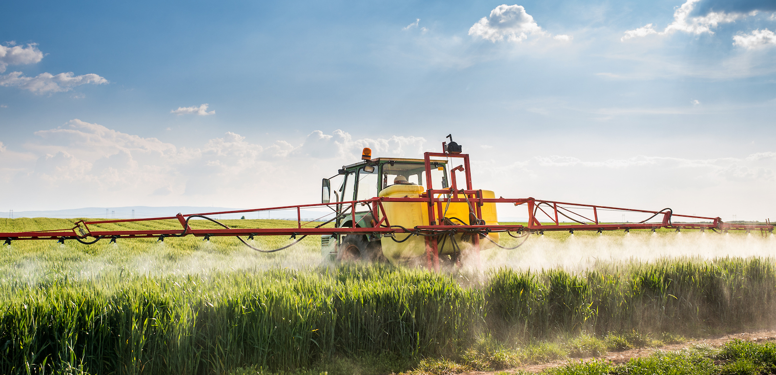 Traktor med besprutningsanordning som besprutar ett vetefält.