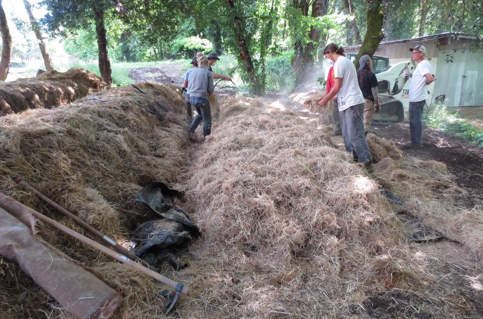 Flera personer jobbar med att täcka området med förorenad jord med halm. Personerna bär skyddsmask för ansiktet. 