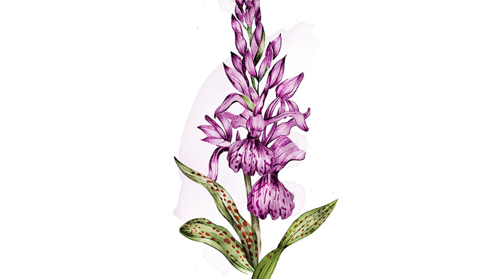 Lezbiyen porno aktrisalarning fotosuratlari Erkak qizni sikadi