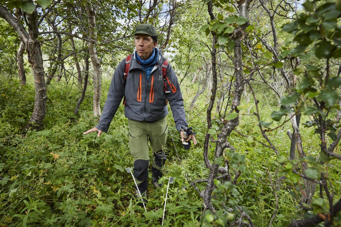 Man i skog i fjällen