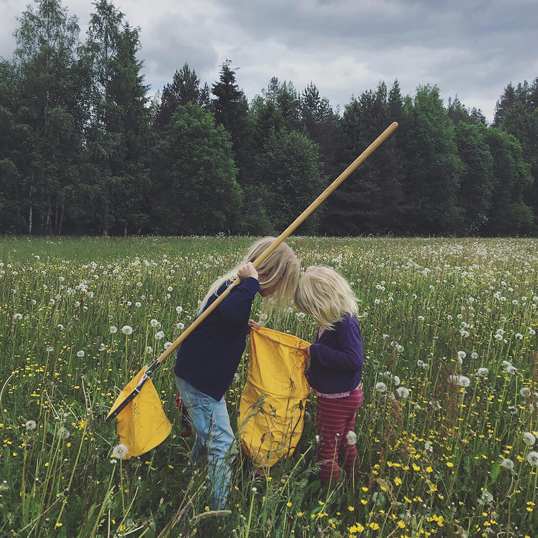 Barn med gula håvar på blomsteräng