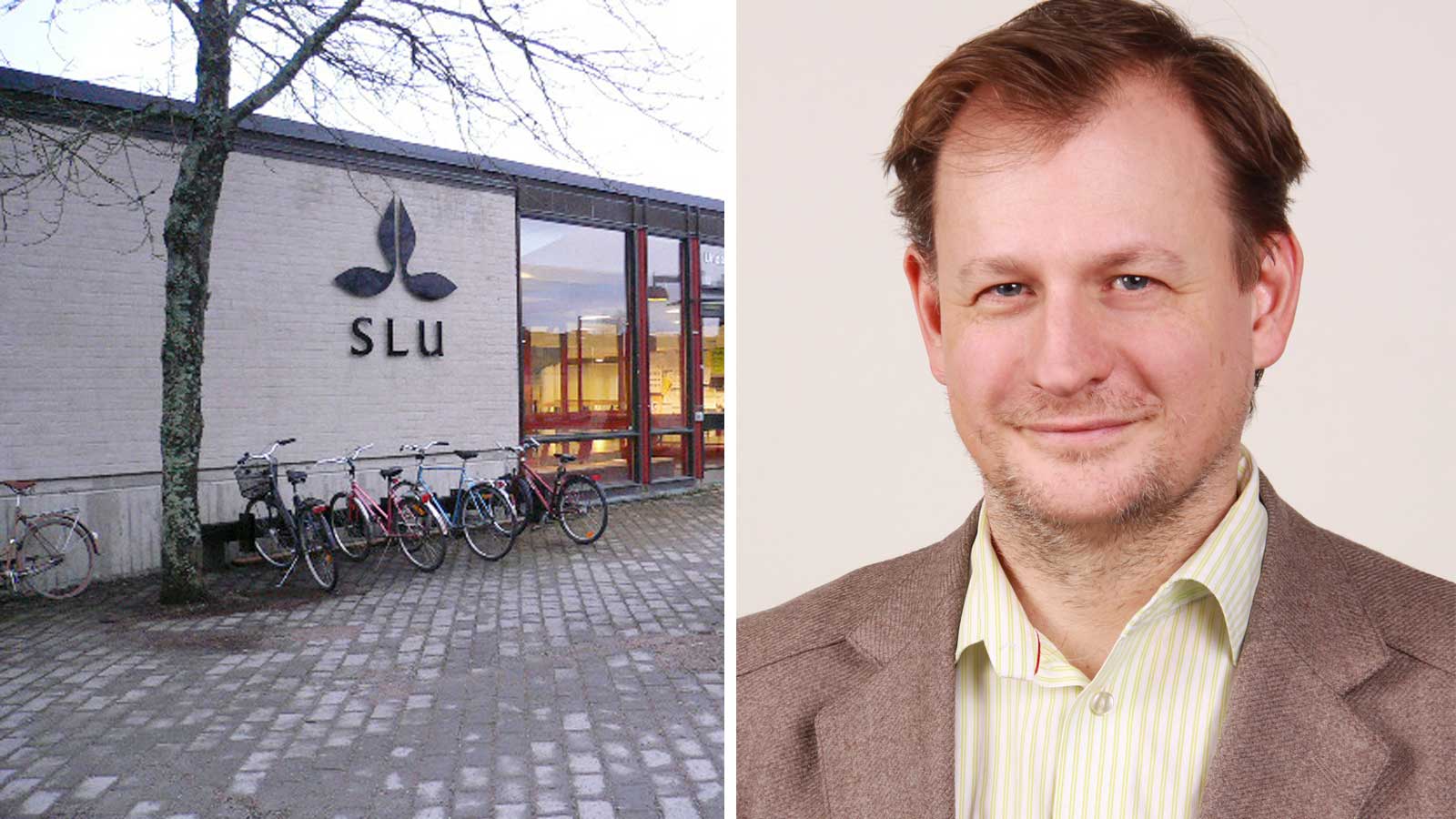 Lokalen i Uppsala där mötet ska äga rum, Carl Schlyter i ledigt knäppt skjorta och ljusbrun kavaj.