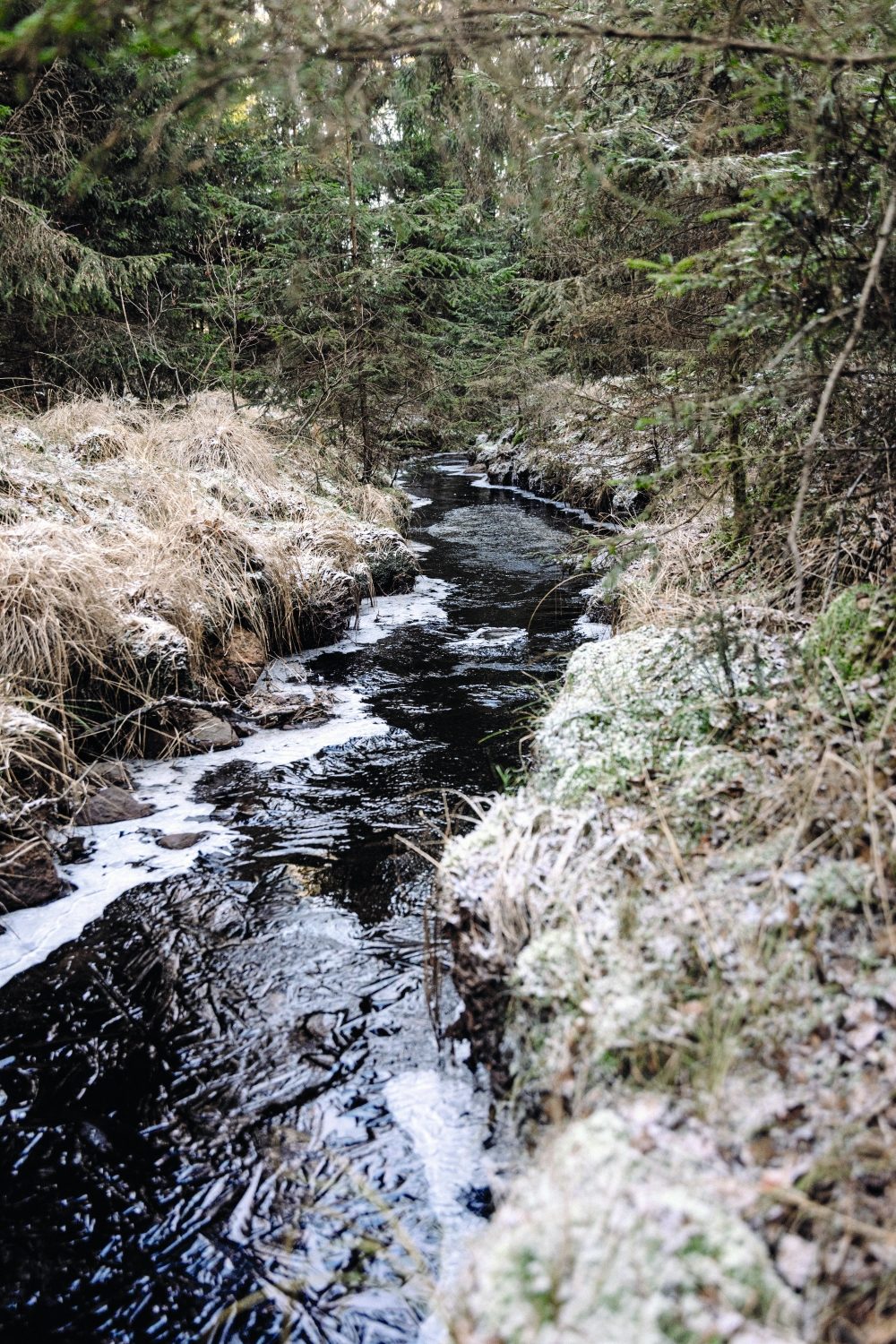Strömmande vattendrag