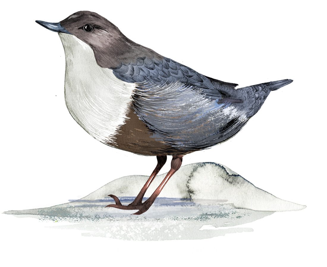 Illustration av en strömstare.