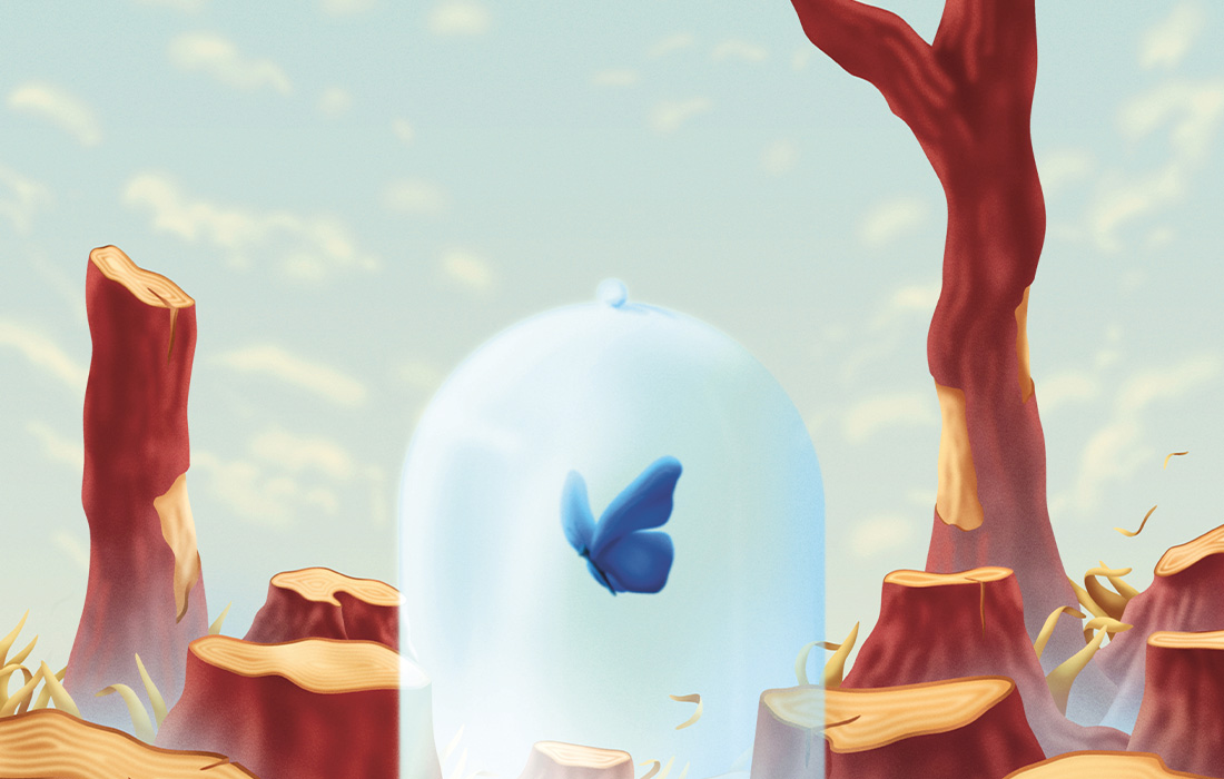 Illustration på en fjäril i en glaskupa och ett kalhygge i bakgrunden.