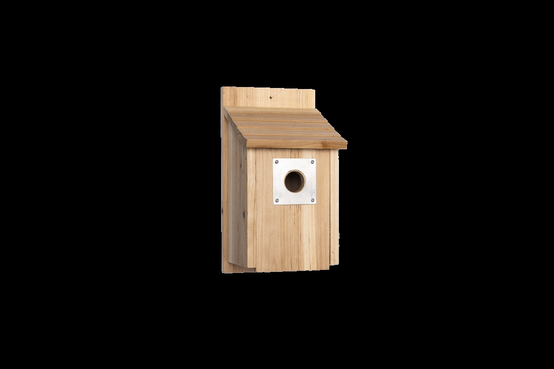 Fågelholk mot svart bakgrund.