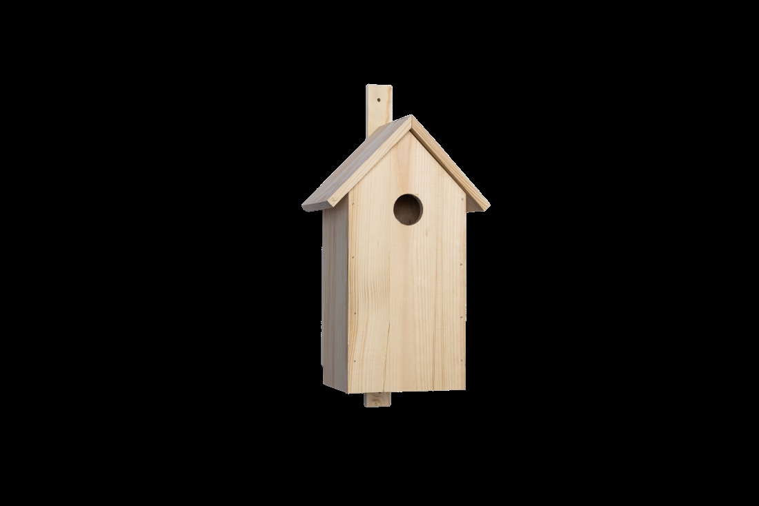 Fågelholk mot svart bakgrund.