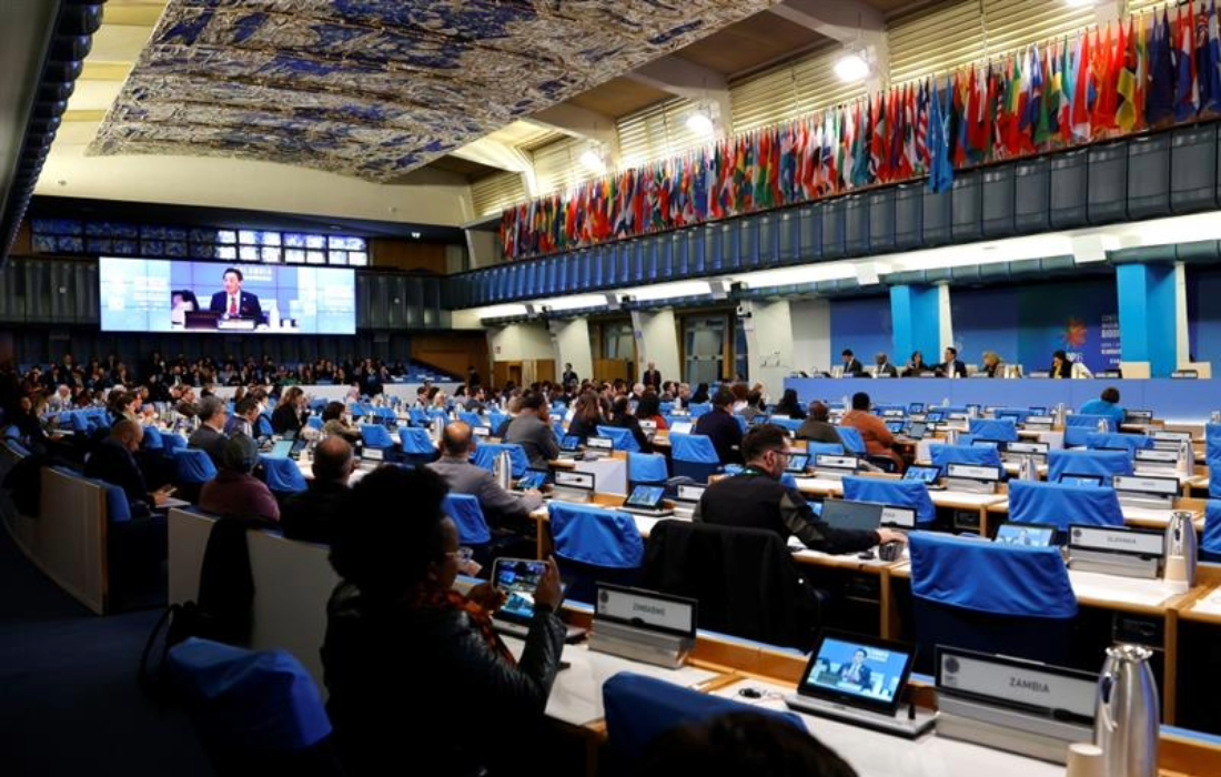 FN:s jordbruksprogram FAO öppnar ett sidoevent under det återupptagna FN-mötet COP16 som avslutades i Rom i slutet av februari.