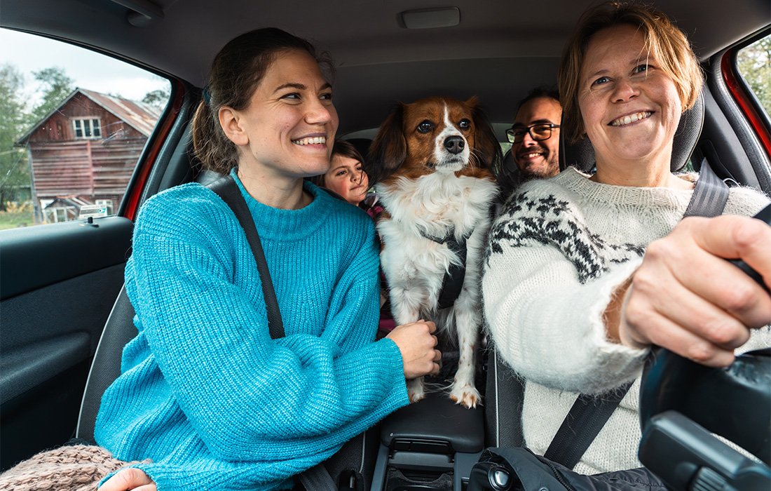 Personer som skrattar inuti en bil med en hund i mitten.