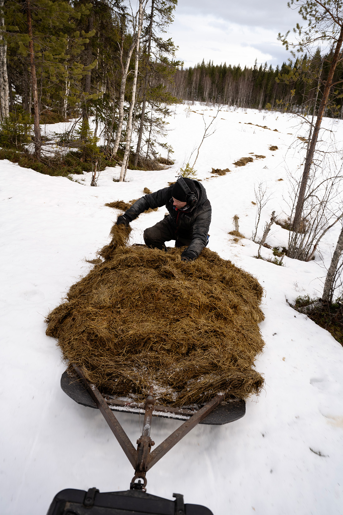 Man står vid ett släp fyllt av hö.