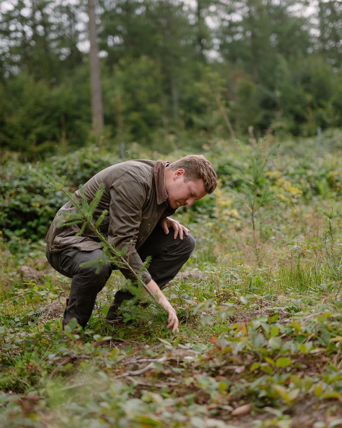 Tore Schlüter sitter på huk och undersöker ett träd.