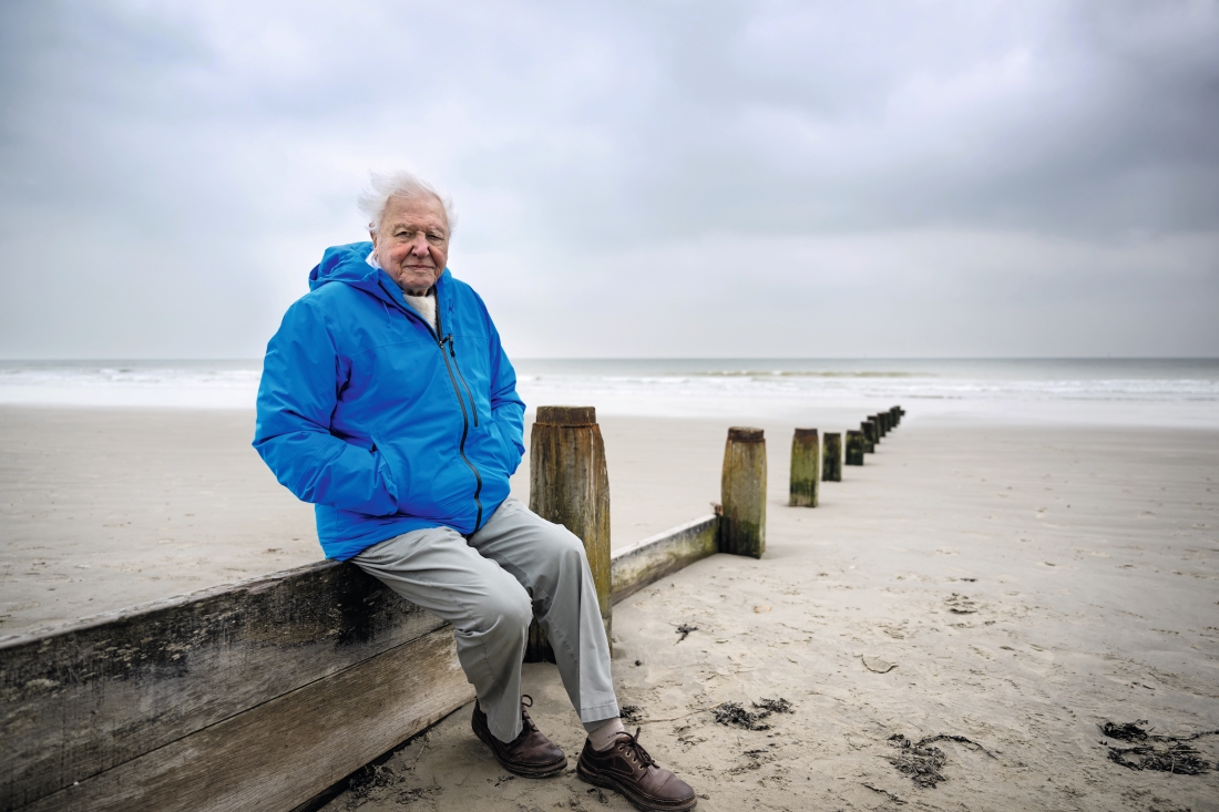 Man med blå jacka på strand.
