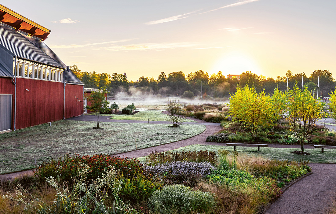 Grön trädgård och ett rött hus.