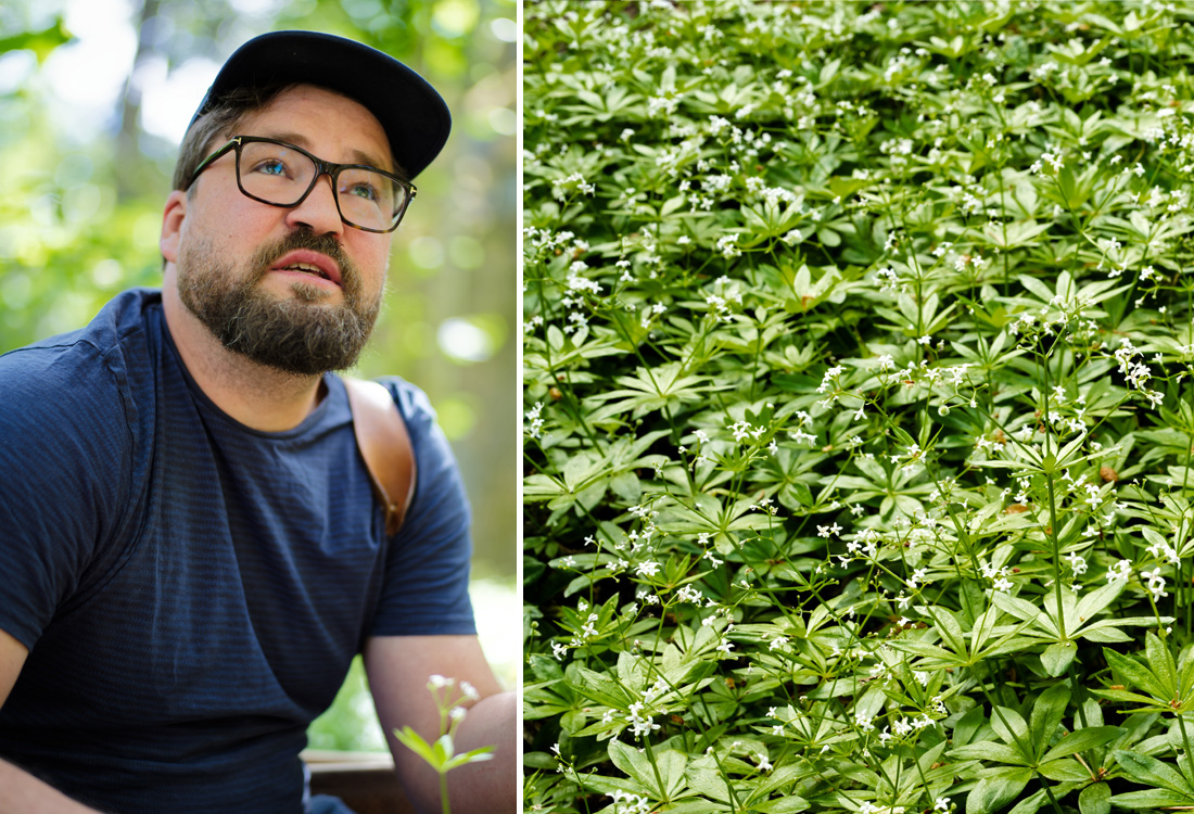 Porträtt på Eric Holmberg brevid skuggväxten myskmadra.