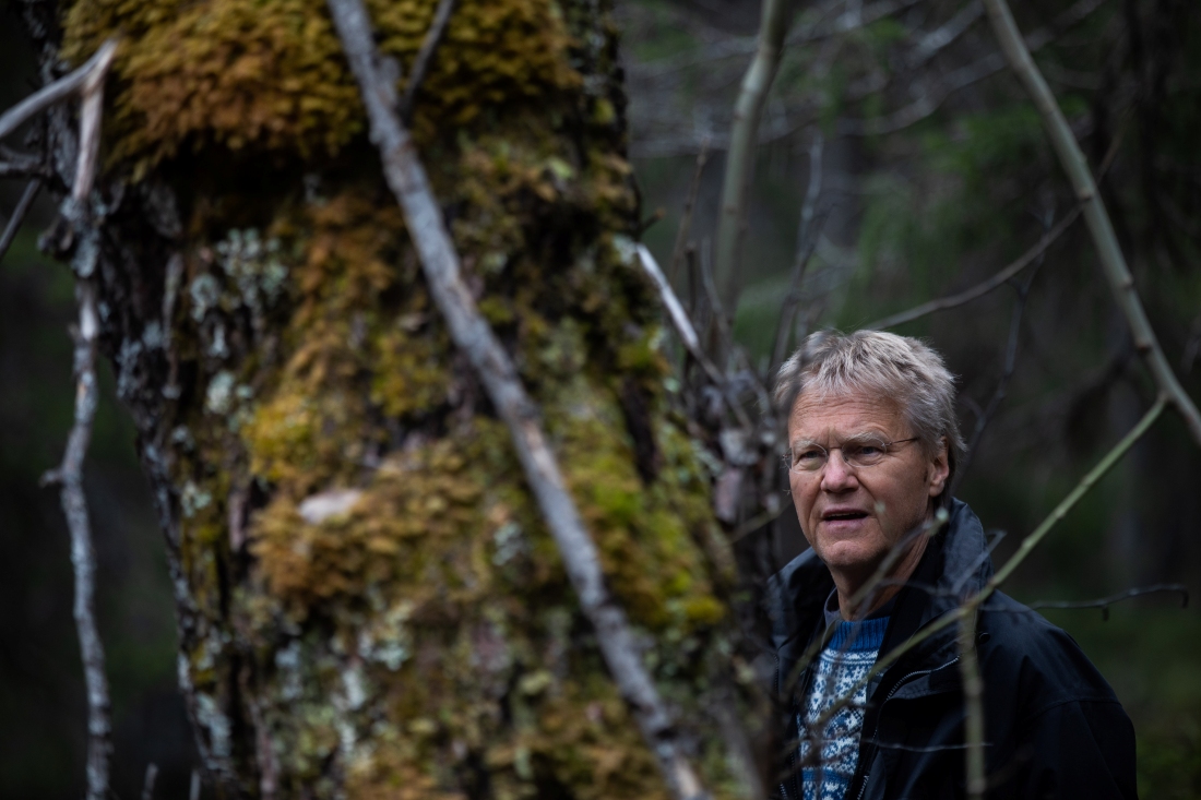 Man med glasögon i skog.