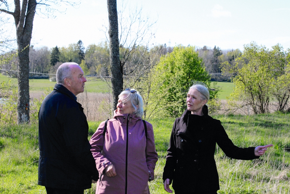 En man och två kvinnor i naturen.