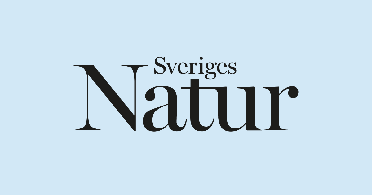 www.sverigesnatur.org