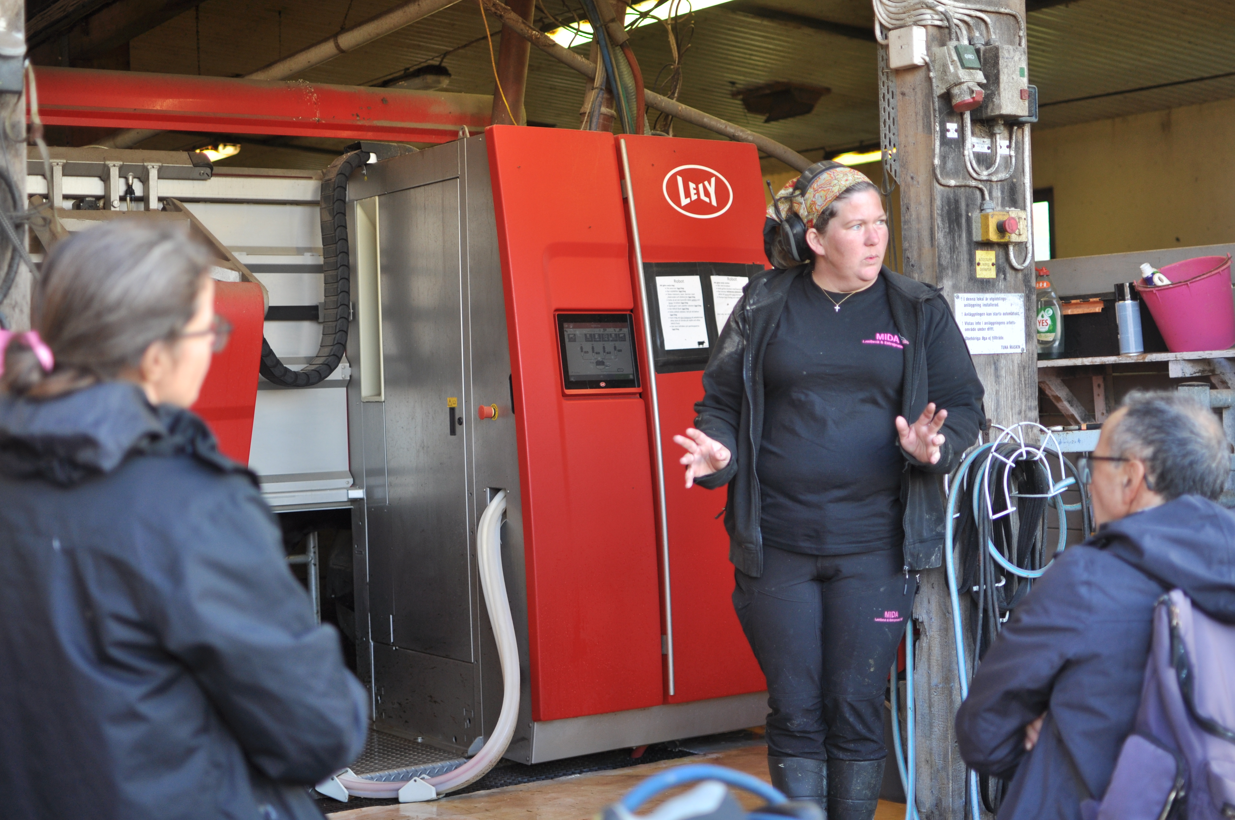 Kvinna vid mjölkningsmaskin.