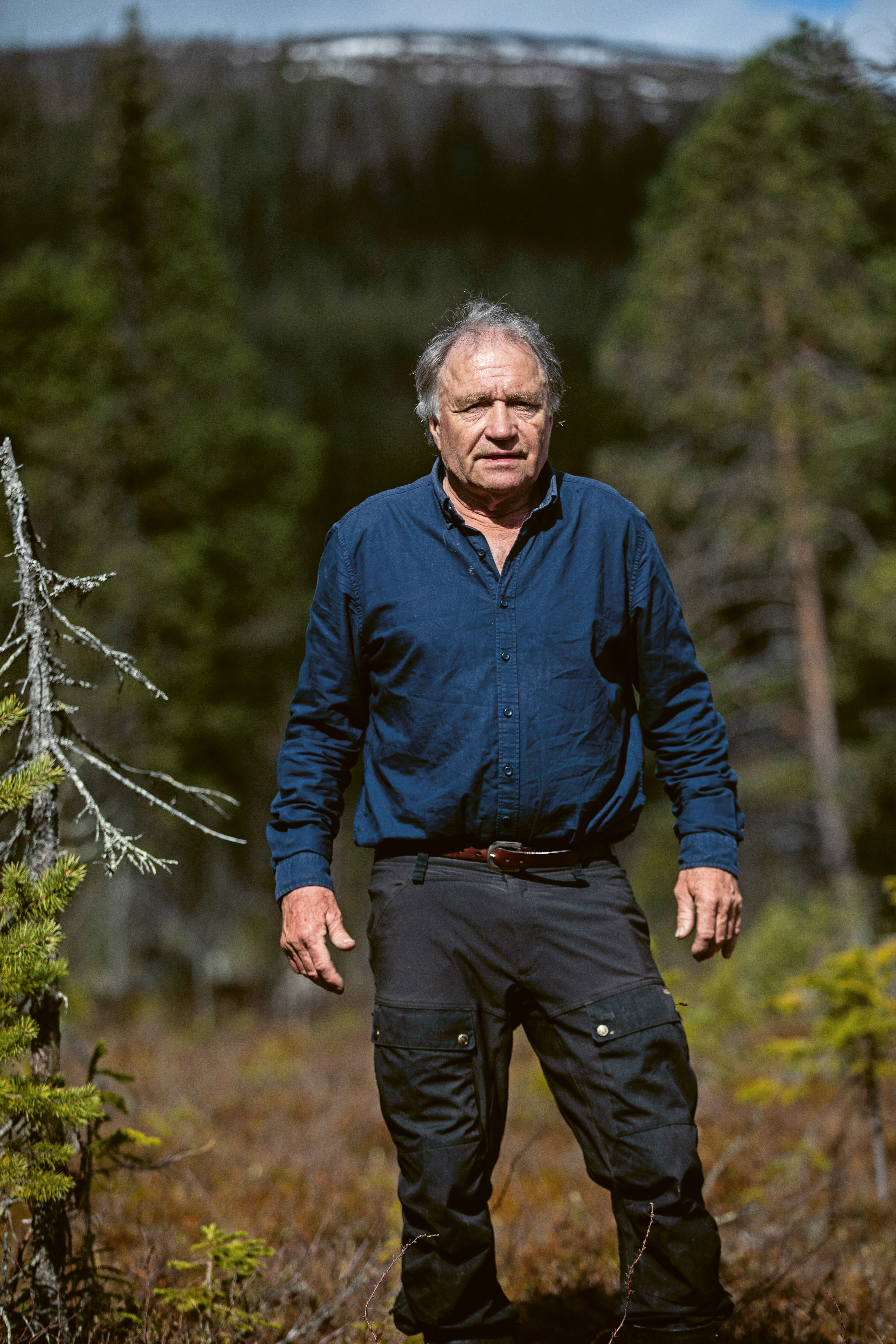 Björn Sarstad i fjällnära skog