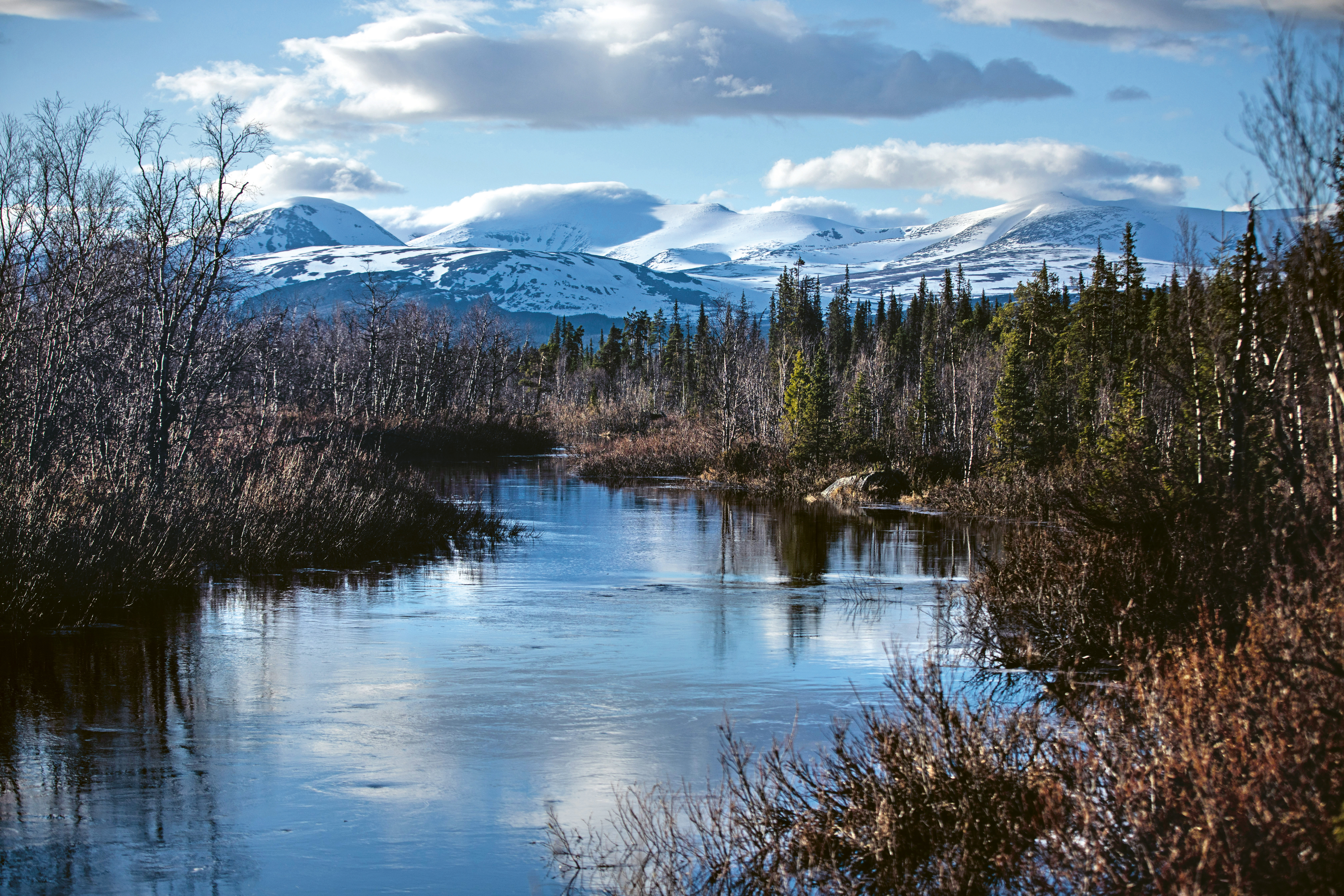 Vattendrag, skog och berg i närheten av Kvikkjokk.