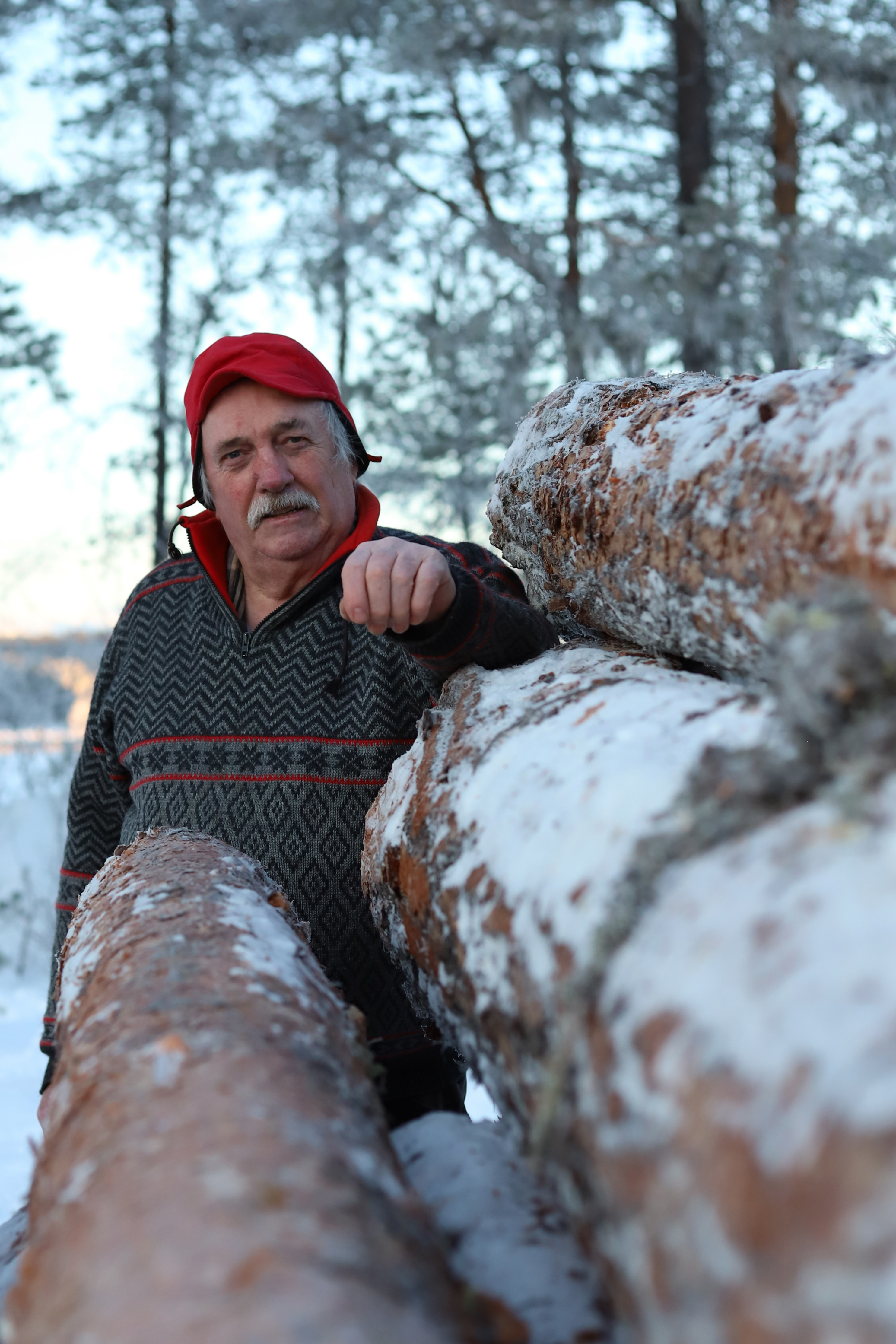 Man med keps vid timmer i skogen.