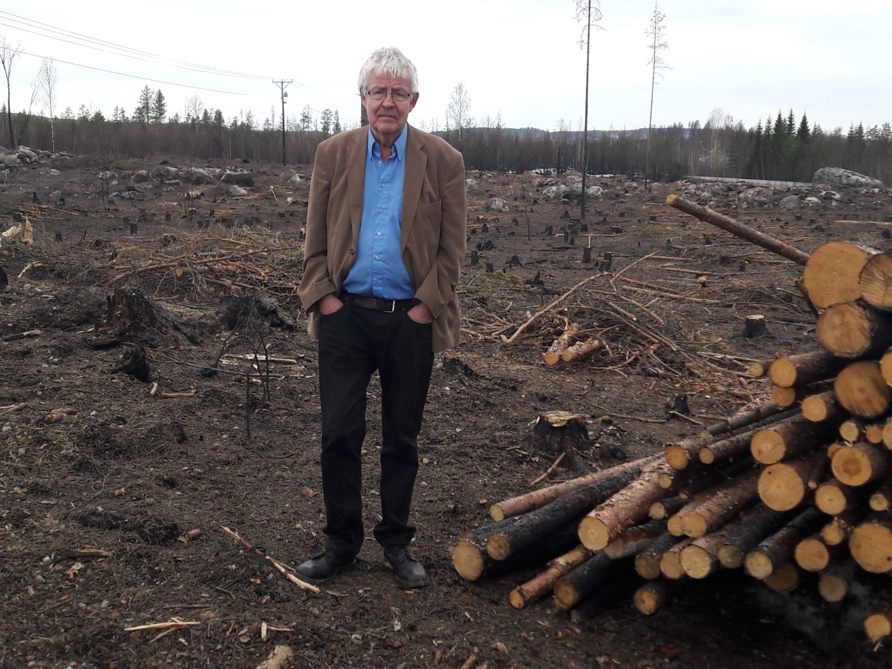 Man stående i ett kalhygge.
