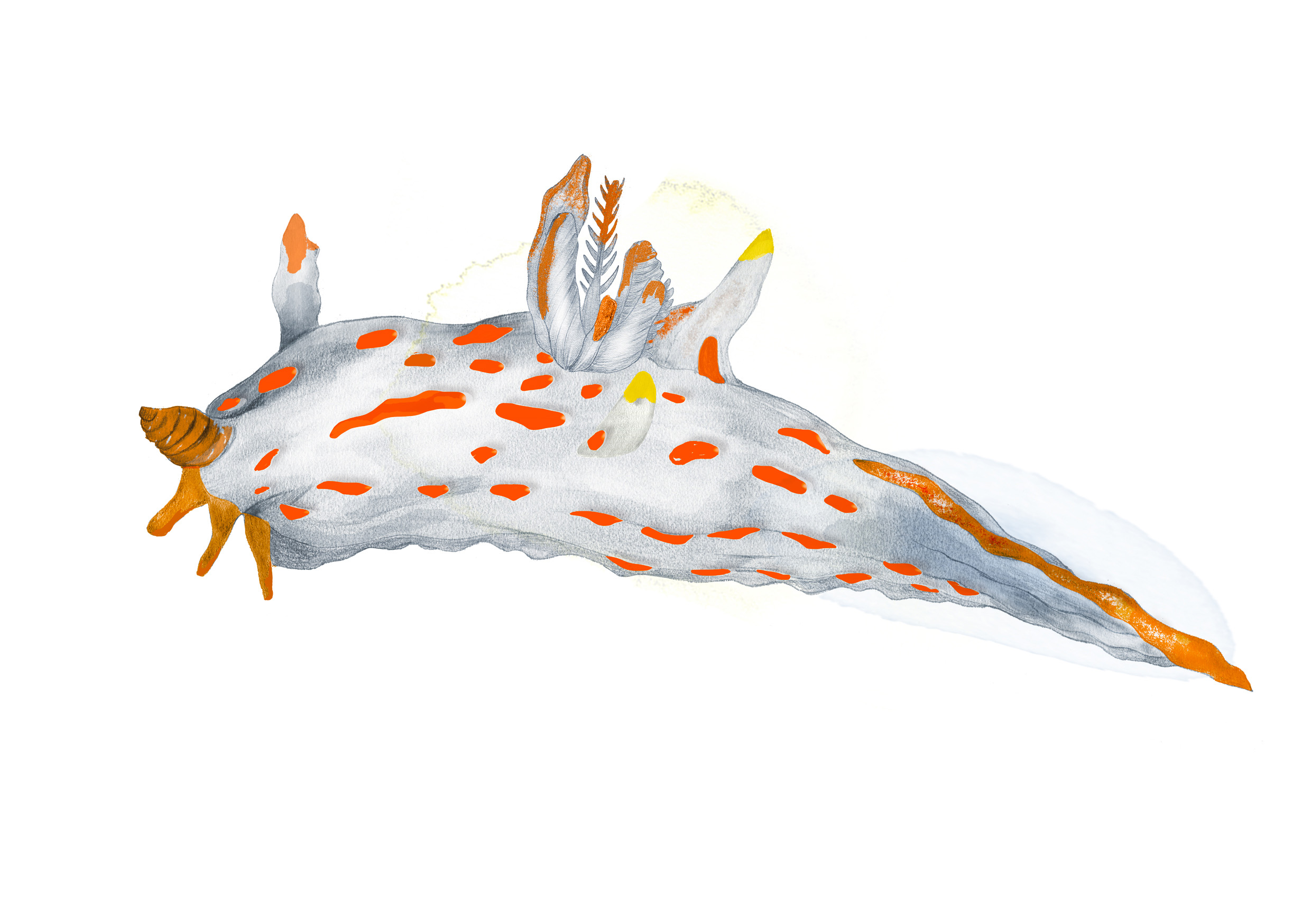 Illustration av signalnuding.