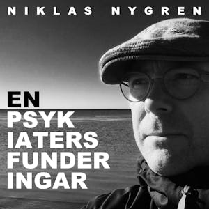 Niklasnygren