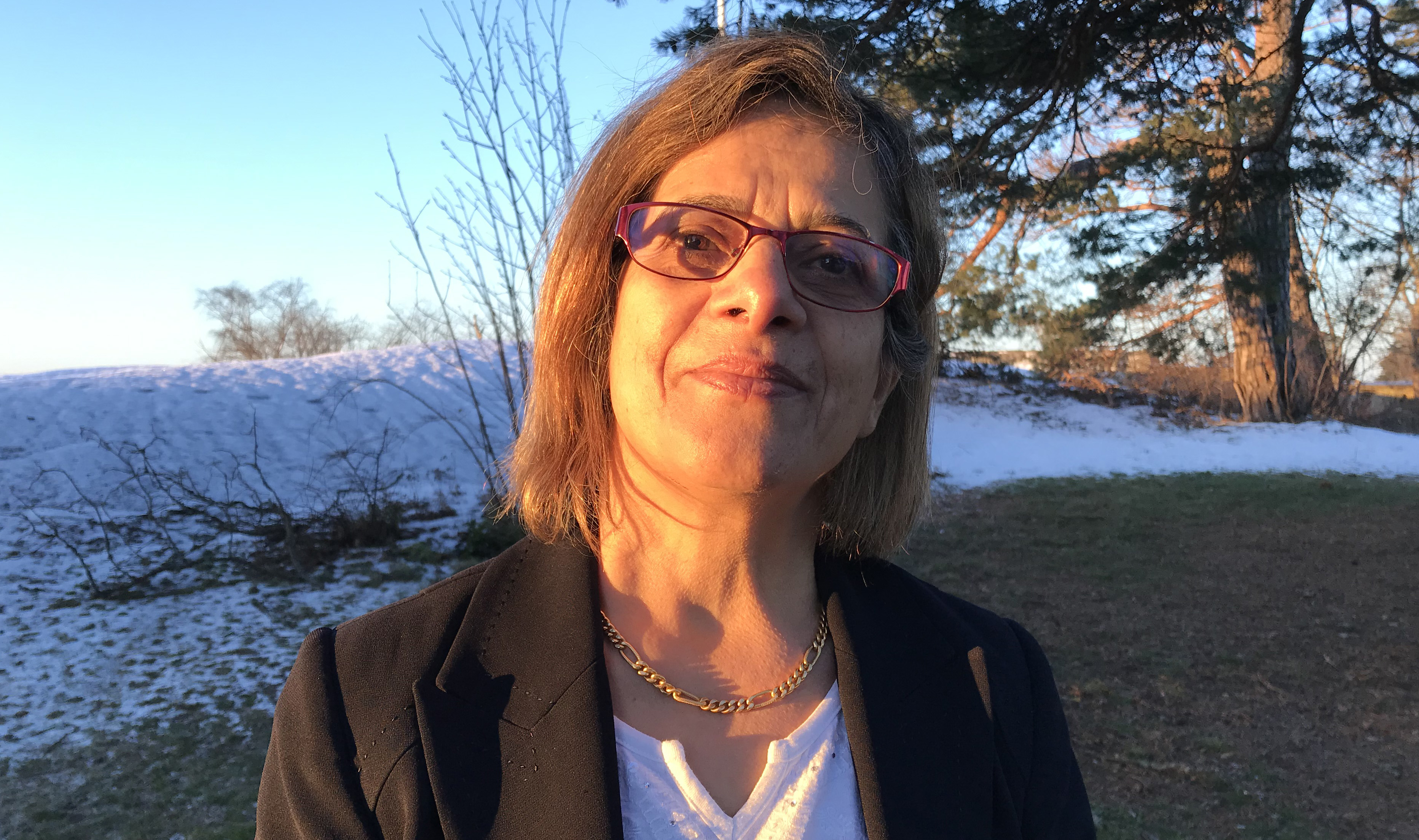 Shokoufeh Manouchehrpour