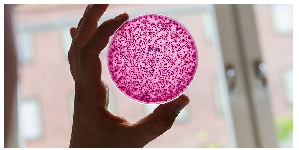 Avgiften för icke kommersiella kliniska prövningar riskerar att påverka den oberoende forskningen