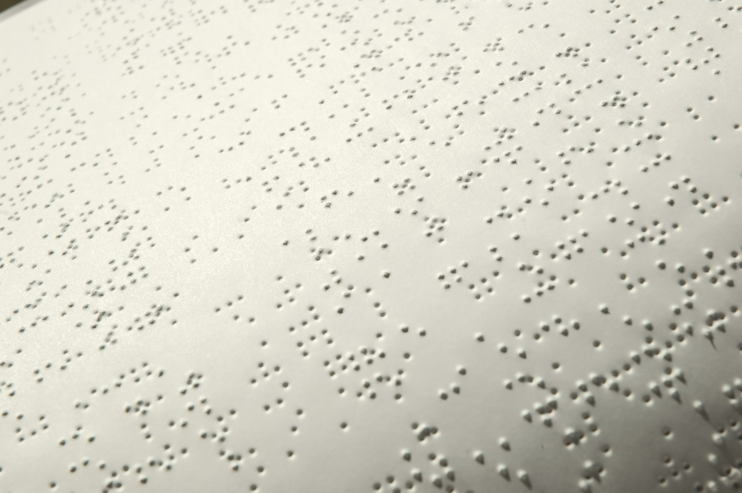 113160-braille-bible