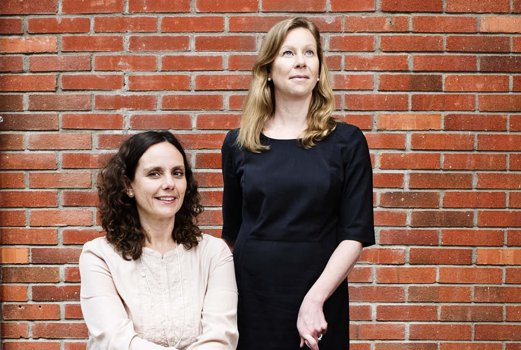 akademikern_4_2015_hemfrid2