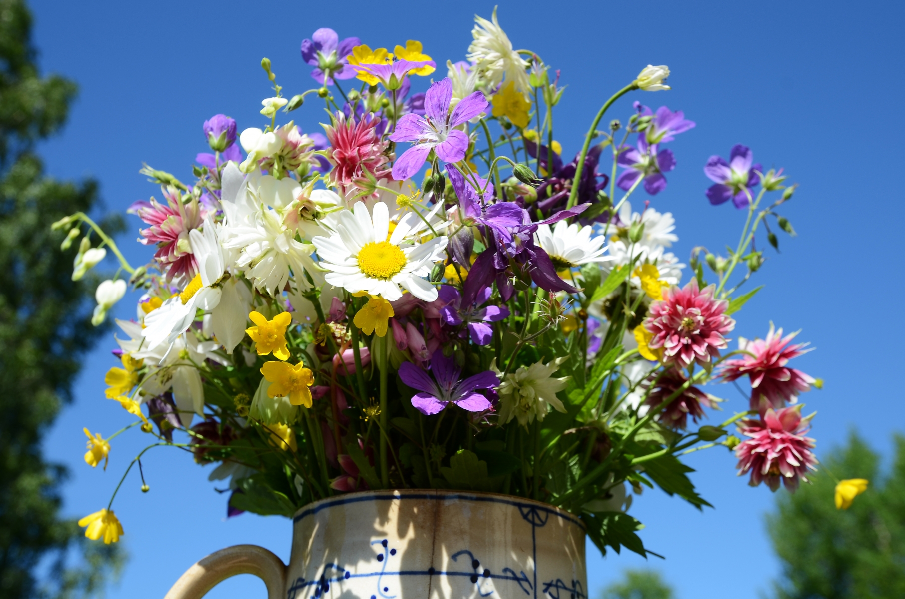 6902742-a-bouquet-of-flowers