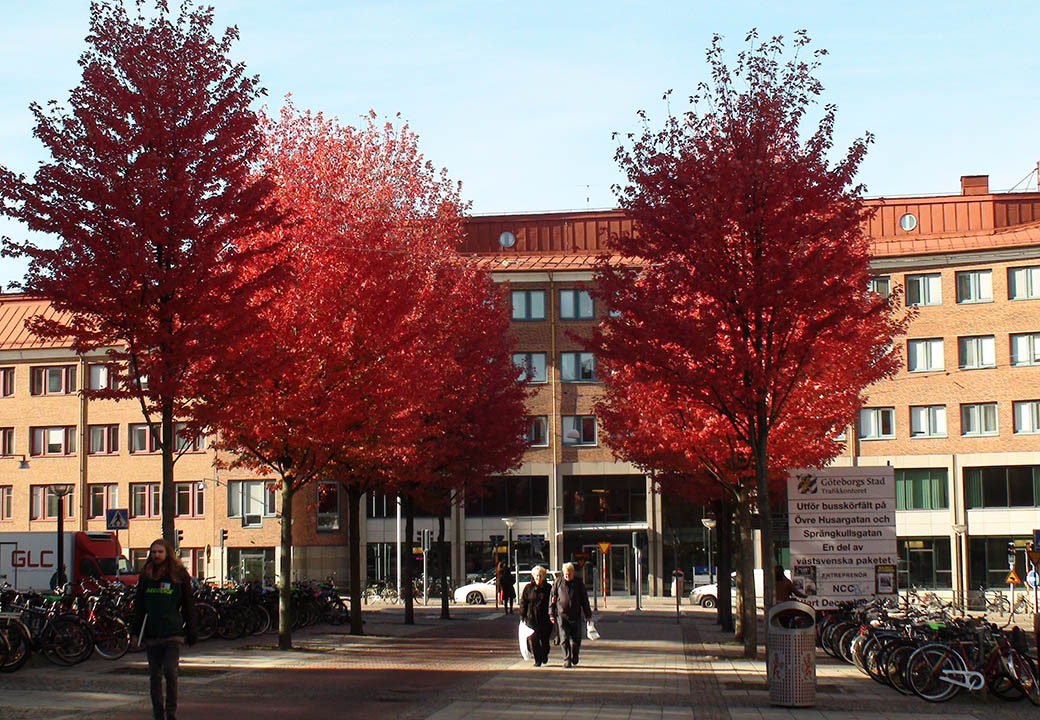 goteboegs_universitet