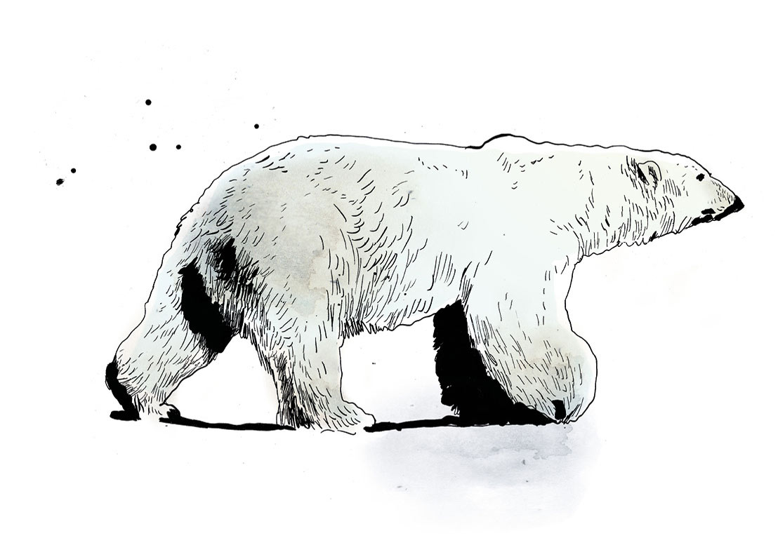 illustration-aka-19016-tillwebb