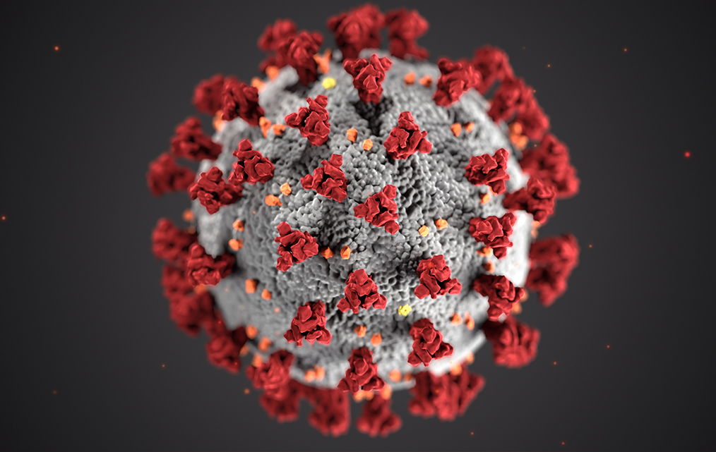 coronavirus