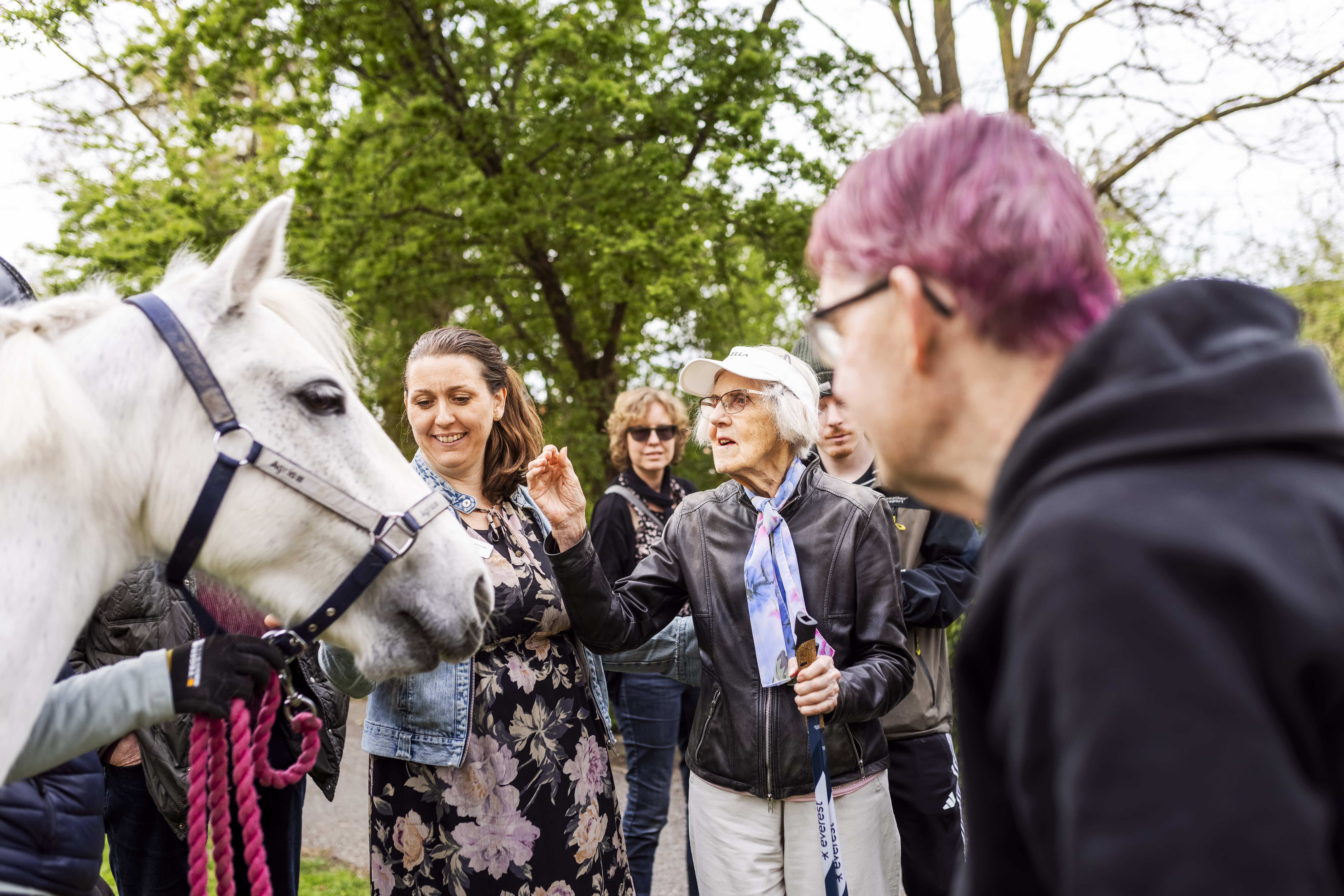 Äldre personer på Trvselpunkten i Staffanstorp klappar en häst från den lokala ridskolan.