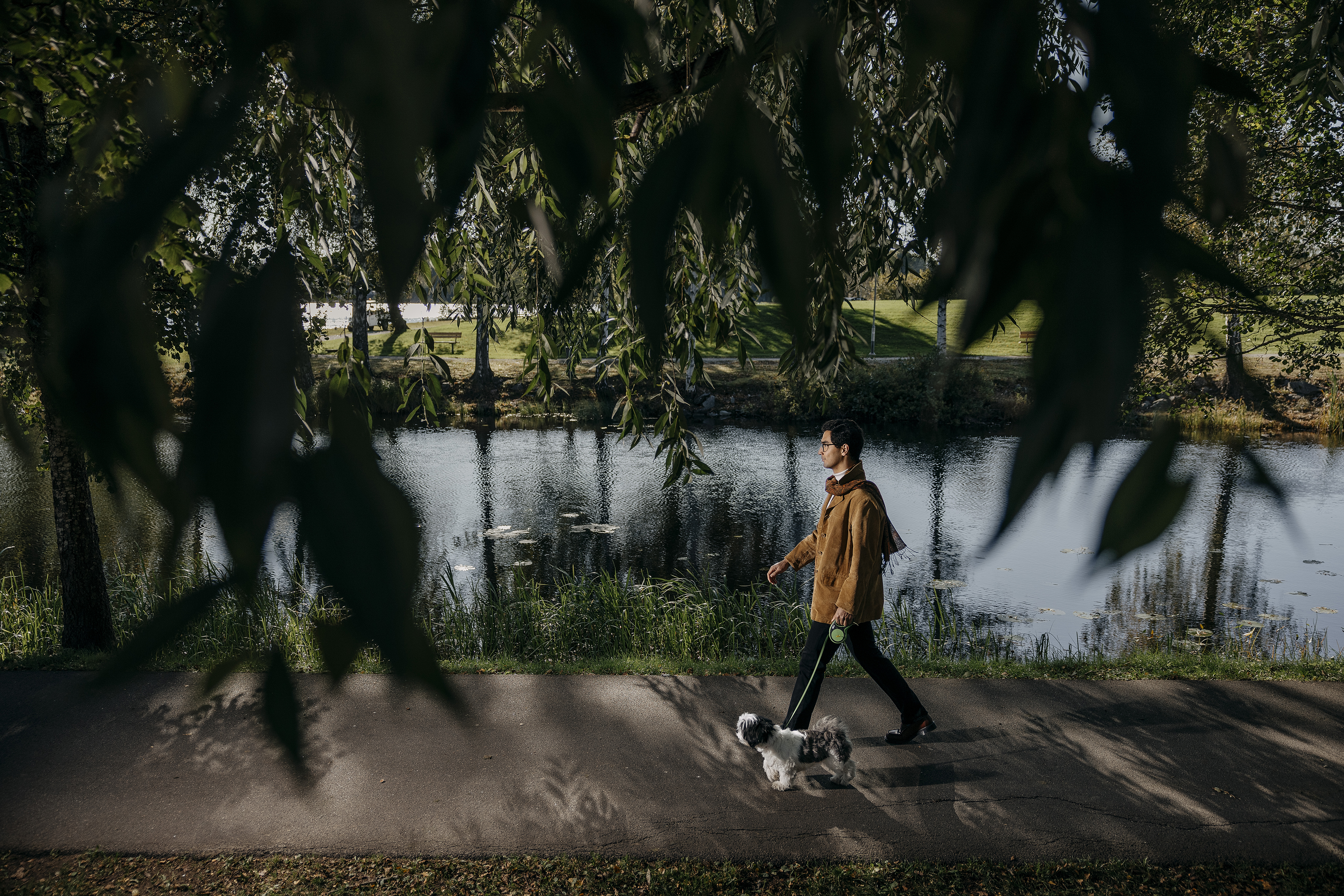 En person går med en liten hund på en asfalterad gångväg vid en flod, med trädgrenar i förgrunden.