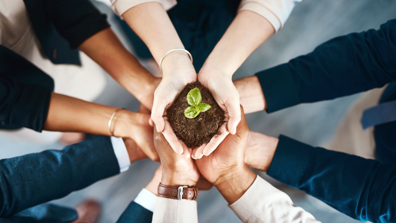 Kontorsklädda personer håller gemensam i en planta mellan sig för att illustrera hur man kan jobba med hållbarhetsfrågor på jobbet.