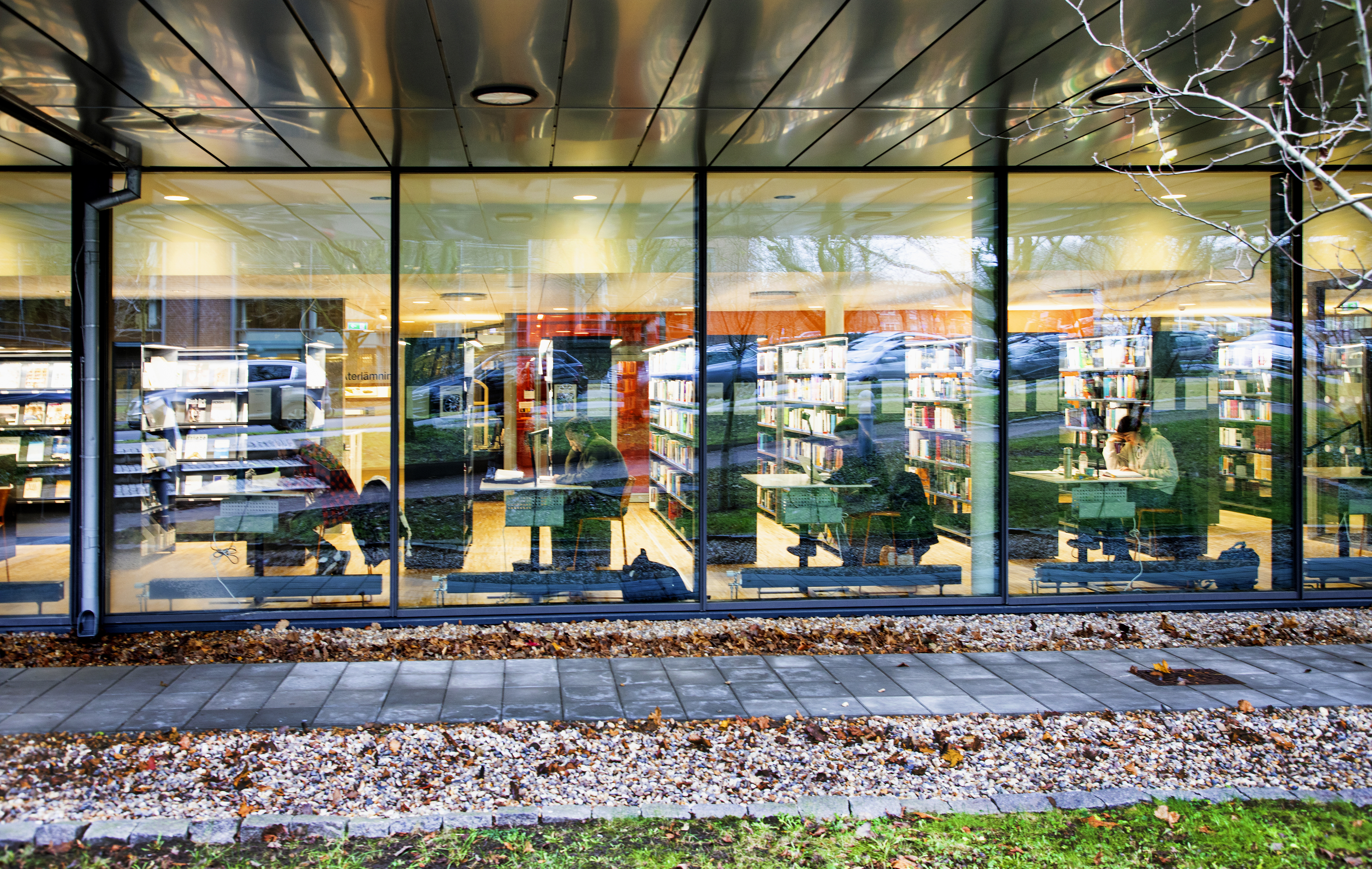 Utsikt genom stora glasfönster i ett bibliotek där personer sitter vid skrivbord och bokhyllor syns; träd och bilar speglas i glaset.