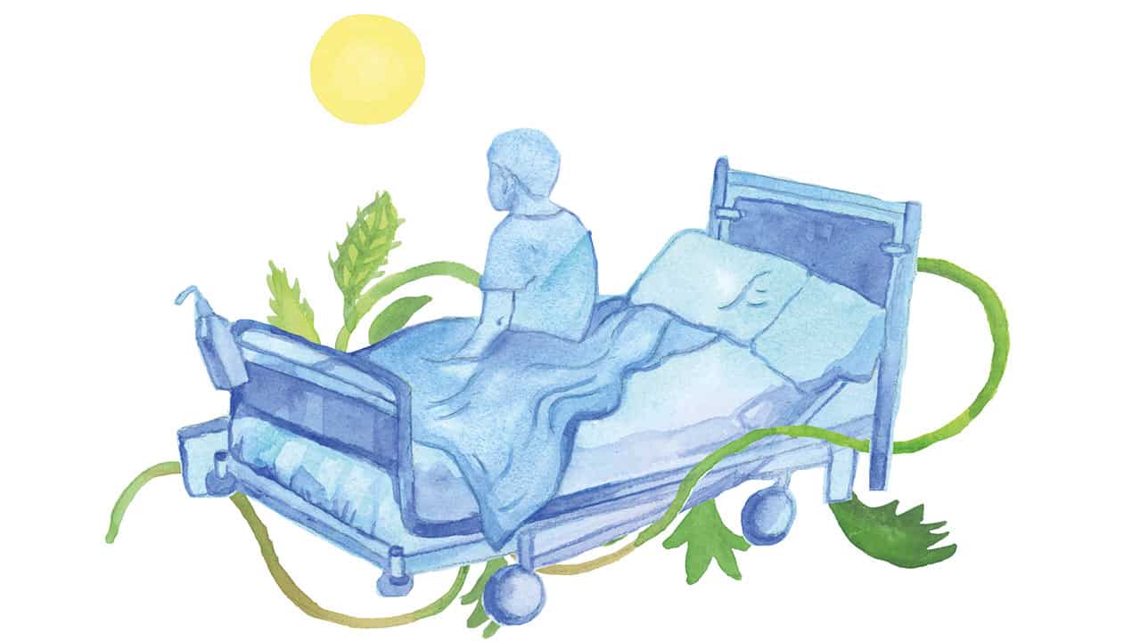 En person sitter upprätt i en sjukhussäng, omgiven av gröna växter, med solen i bakgrunden.