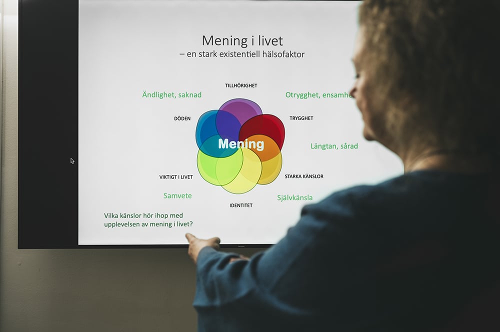 Vi ser Christina Lloyd bakifrån när hon står framför en whiteboard som projicerar en bild med text som handlar om "Mening i livet".