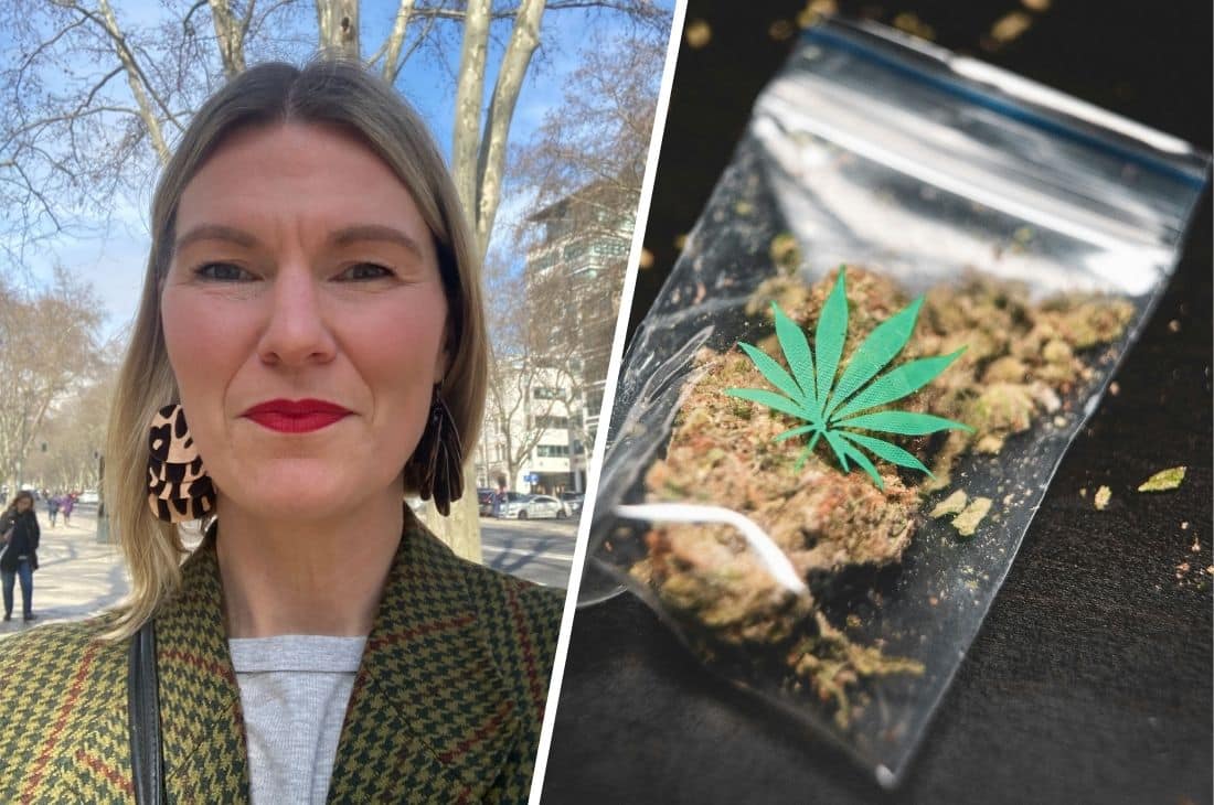 Splitbild på en påse med cannabis och en porträttbild på en drogexpert.