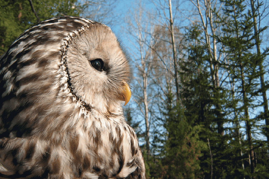Bildschirmfoto 2014-06-05 um 11.17.01