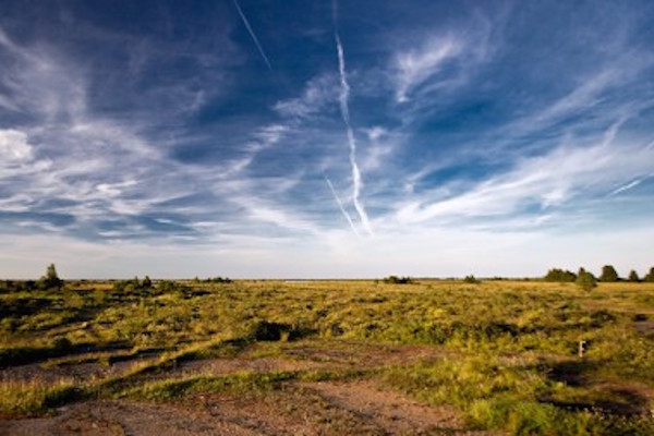 Alvaret-Jonas-Kullman-Oelands-Turist-AB-498x253