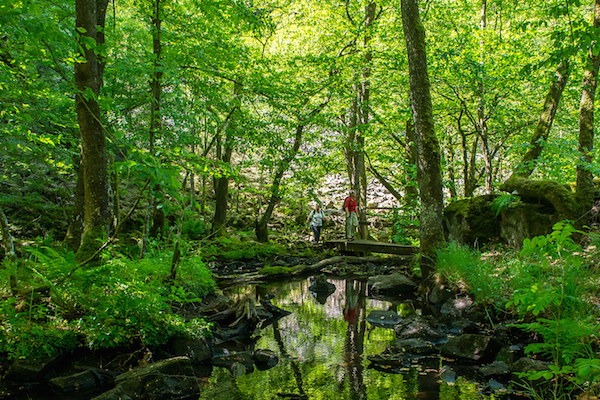 Sverigesnationalparker.se Bertil Hagberg: Sesamphoto Soderasens